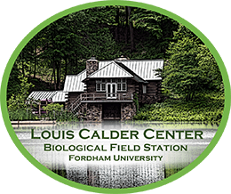 Louis Calder Center Logo