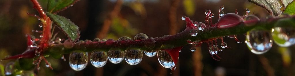 water-droplets-JenRubbo